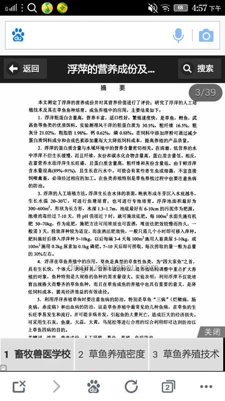 喜欢看鸭子吃浮漂的行为解析：视频热潮背后的生态与心理探究